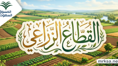 القطاع الزراعي